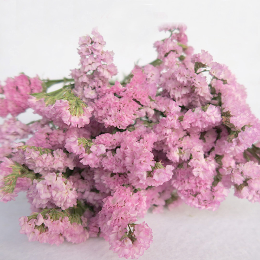 Dried Flower Bulk - Pink color dried natural flower bouquets