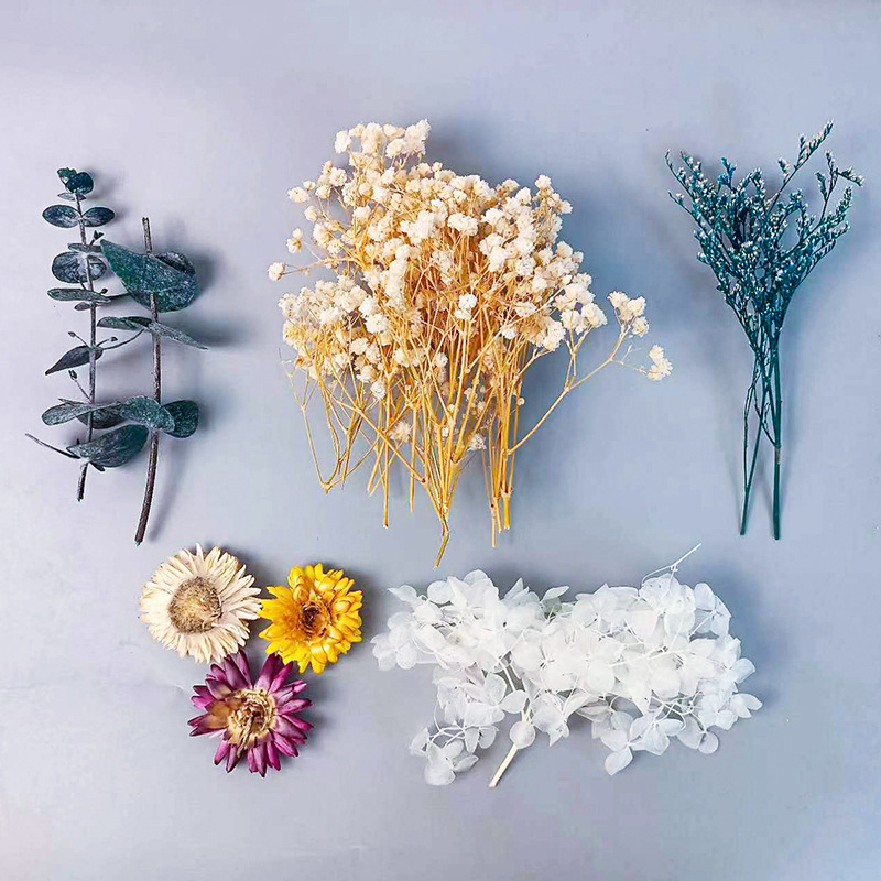 Dried Flower Bulk - 1pack Multifarious Dried Flowers Set For