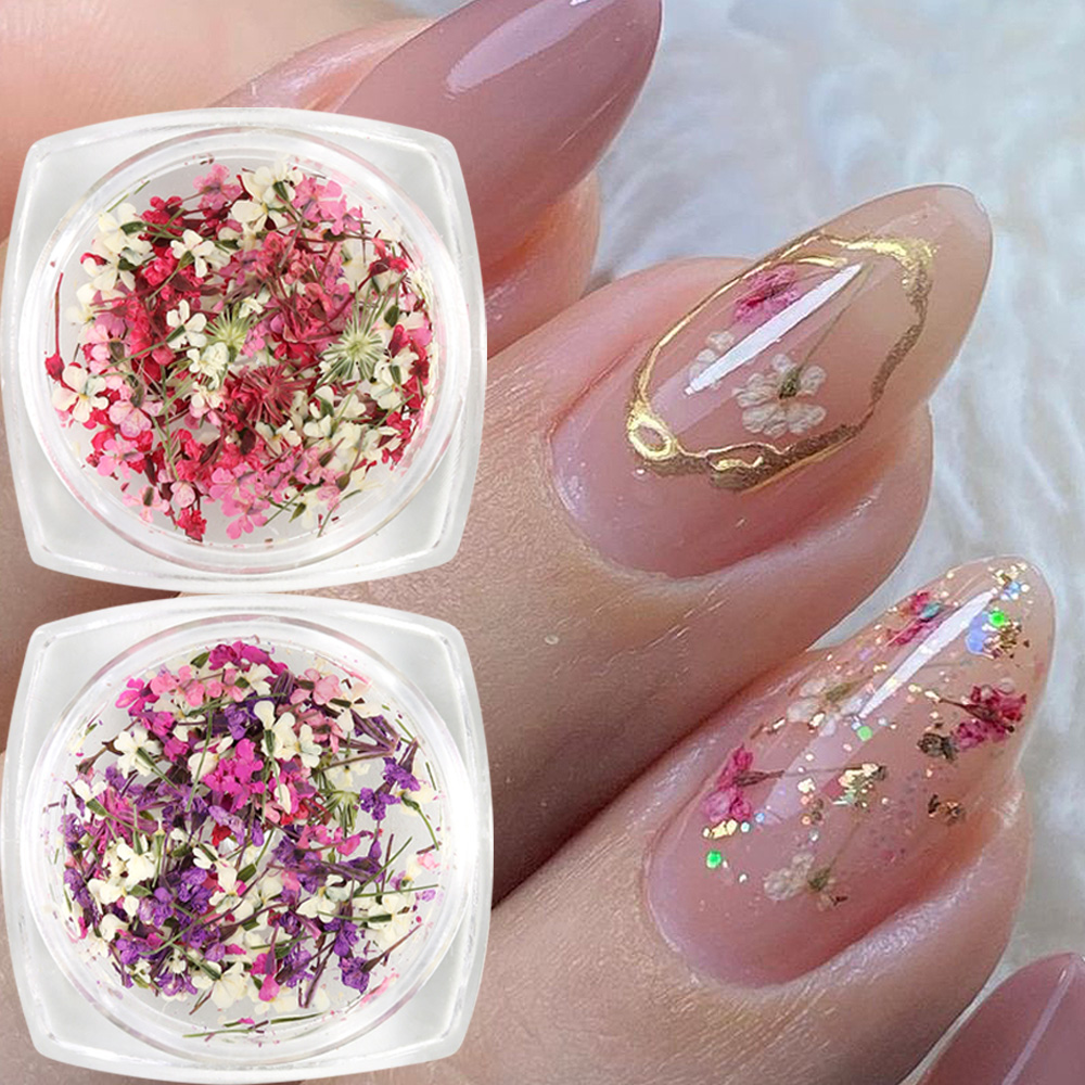 Mixed Colors Gypsophila False  - Dried Flower Bulk reseña y precio