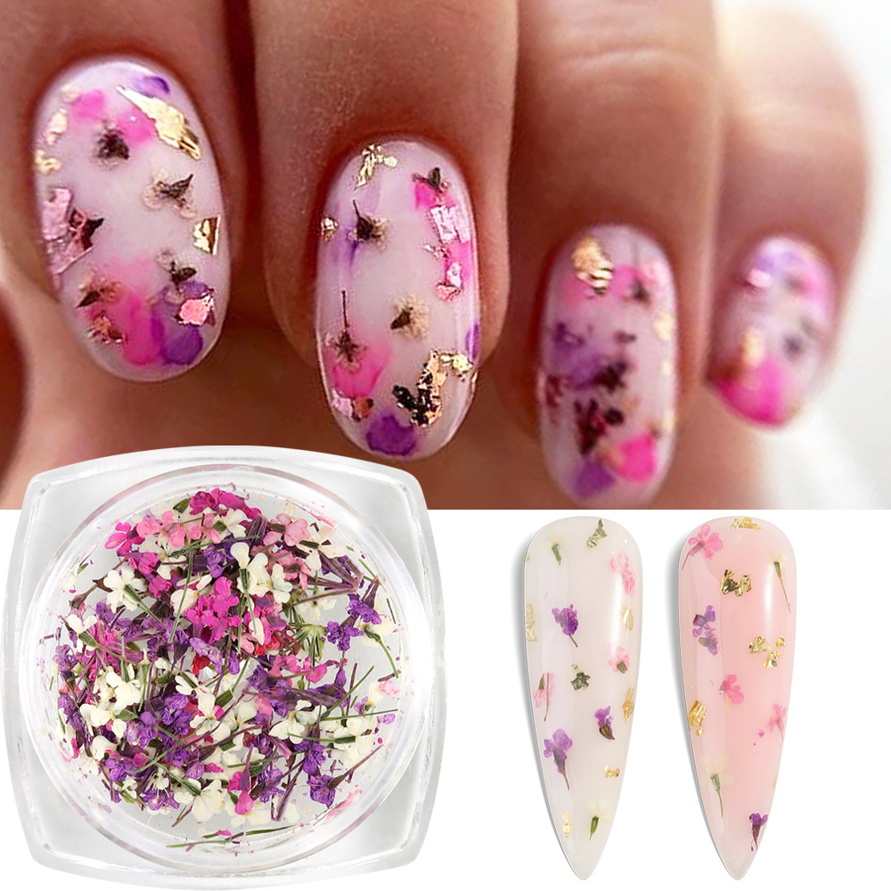 Mixed Colors Gypsophila False  - Dried Flower Bulk reseña y precio