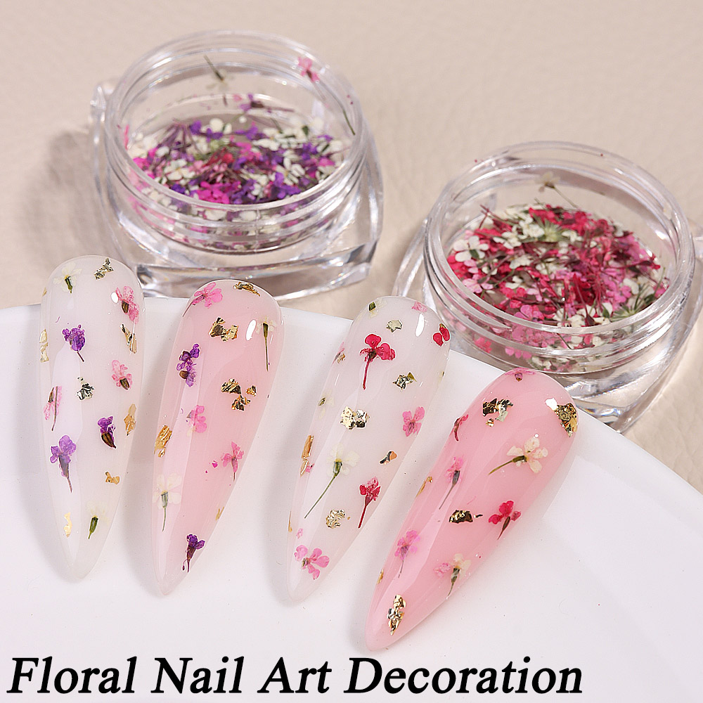 Mixed Colors Gypsophila False  - Dried Flower Bulk reseña y precio