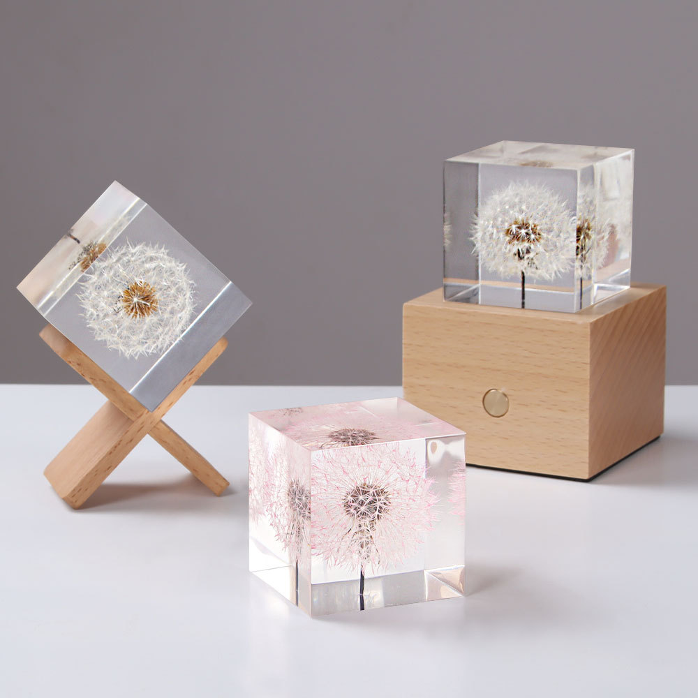 Dandelion preserved fresh flow - Flower Preservation Resin reseña y precio