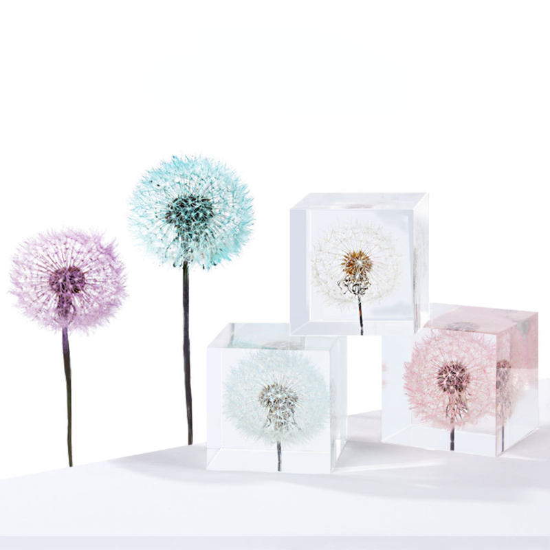 Dandelion preserved fresh flow - Flower Preservation Resin reseña y precio