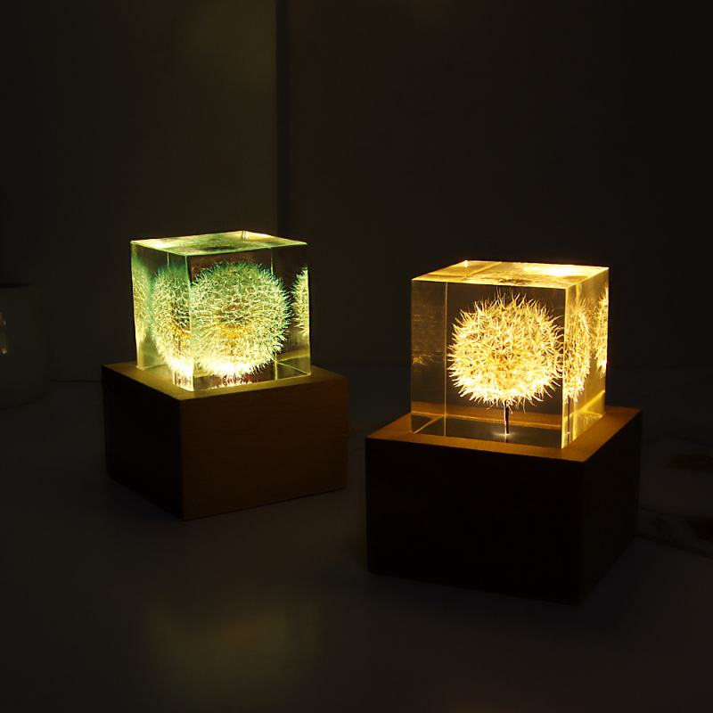 Dandelion preserved fresh flow - Flower Preservation Resin reseña y precio