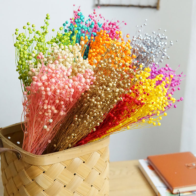 35g/Preserved Ormosia Hosiei N - Dried Flower Bulk reseña y precio