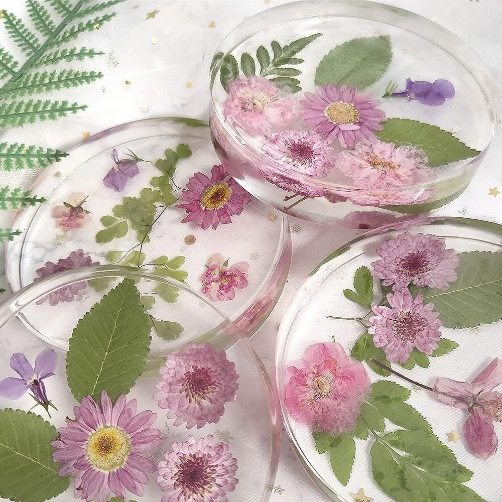 Creative Coasters Silicone Mol - Coaster Mold Round reseña y precio