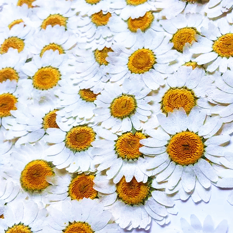 100Pcs Natural White Crystal C - Resin Craft Ideas reseña y precio