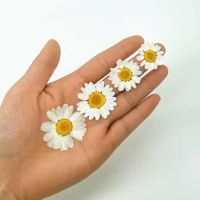 100Pcs Natural White Crystal C - Resin Craft Ideas reseña y precio