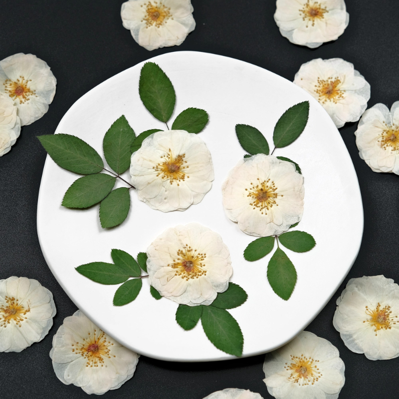 6pcs,9pcs,Nature White Rose Pr - Dried Flower Bulk reseña y precio