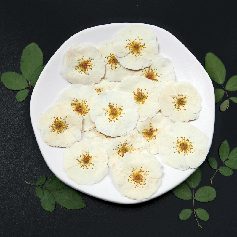 6pcs,9pcs,Nature White Rose Pr - Dried Flower Bulk reseña y precio