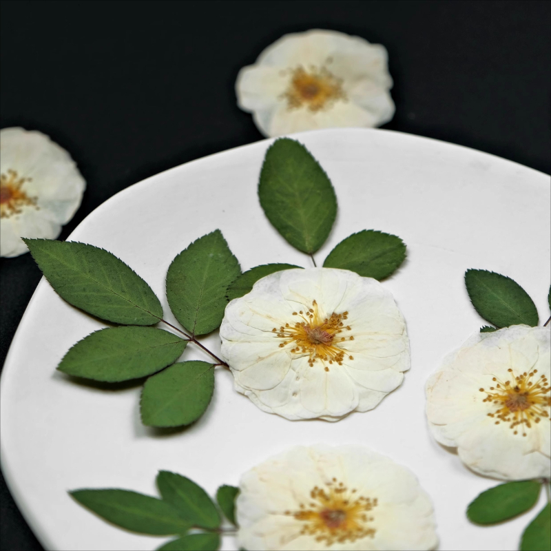6pcs,9pcs,Nature White Rose Pr - Dried Flower Bulk reseña y precio