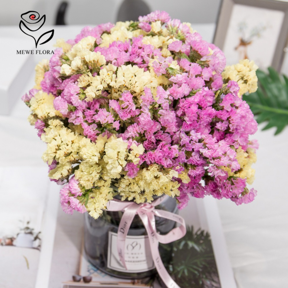 100g Dried Forget Me Not Flowe - Dried Flower Bulk reseña y precio