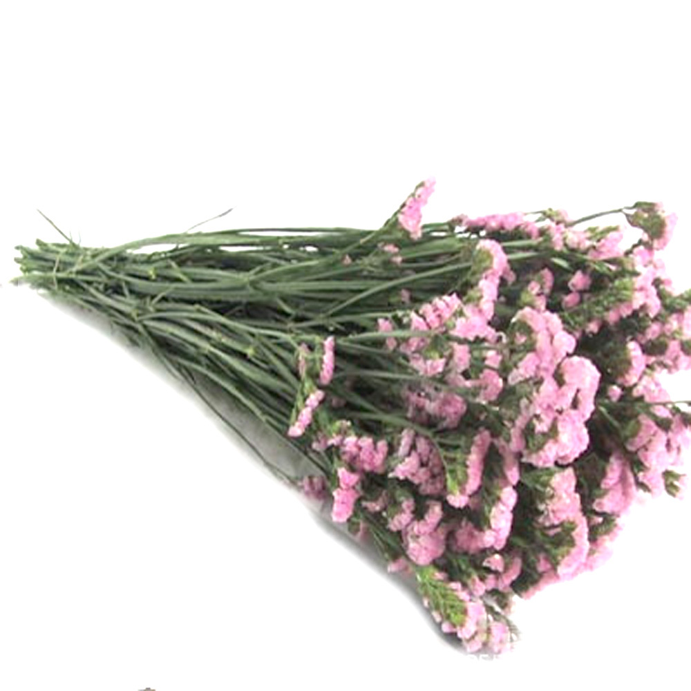 Pink color dried natural flowe - Dried Flower Bulk reseña y precio