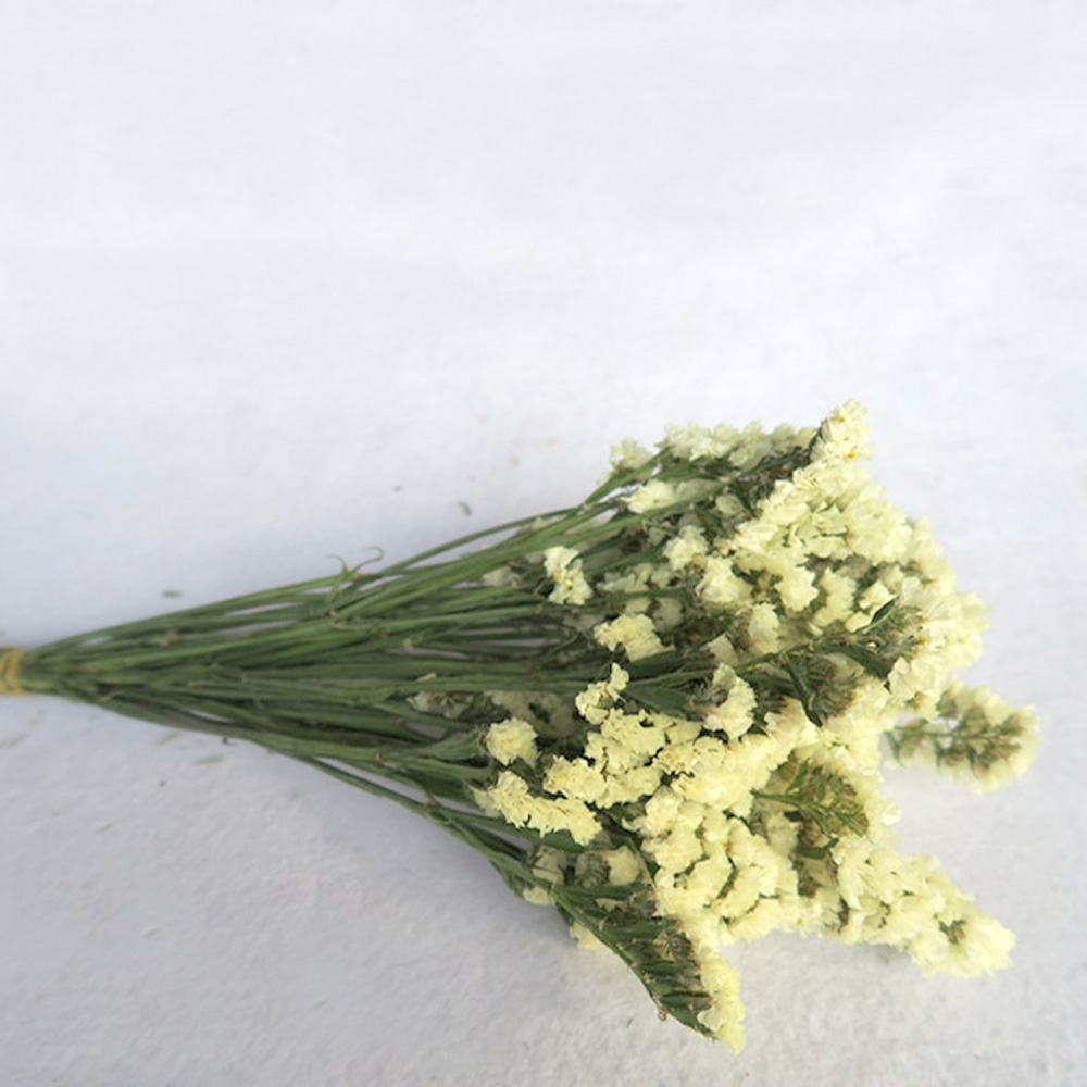 Pink color dried natural flowe - Dried Flower Bulk reseña y precio
