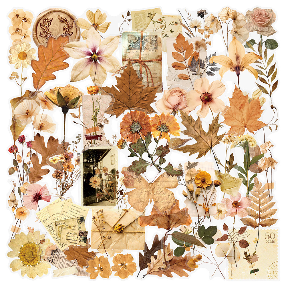 10/30/50pcs Transparent Dried  - Dried Flower Bulk reseña y precio