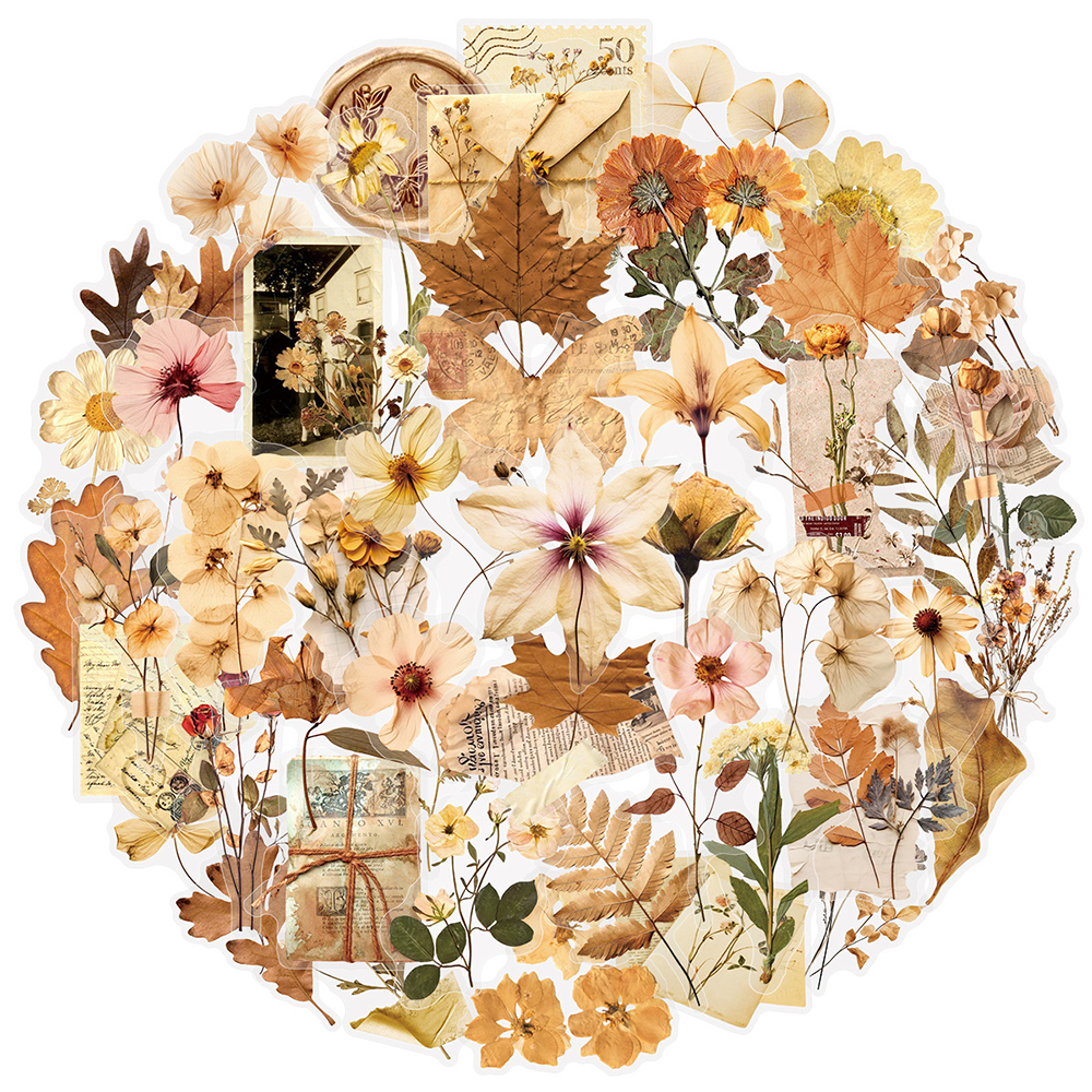 10/30/50pcs Transparent Dried  - Dried Flower Bulk reseña y precio