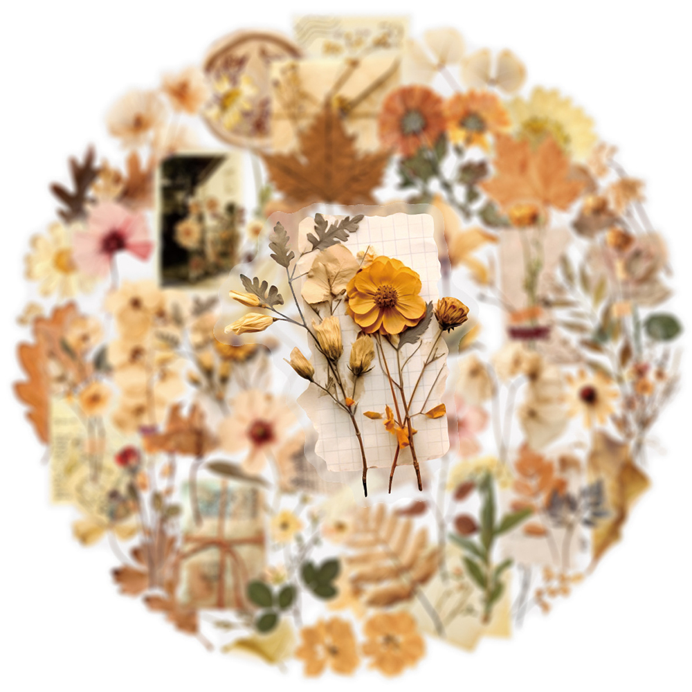 10/30/50pcs Transparent Dried  - Dried Flower Bulk reseña y precio