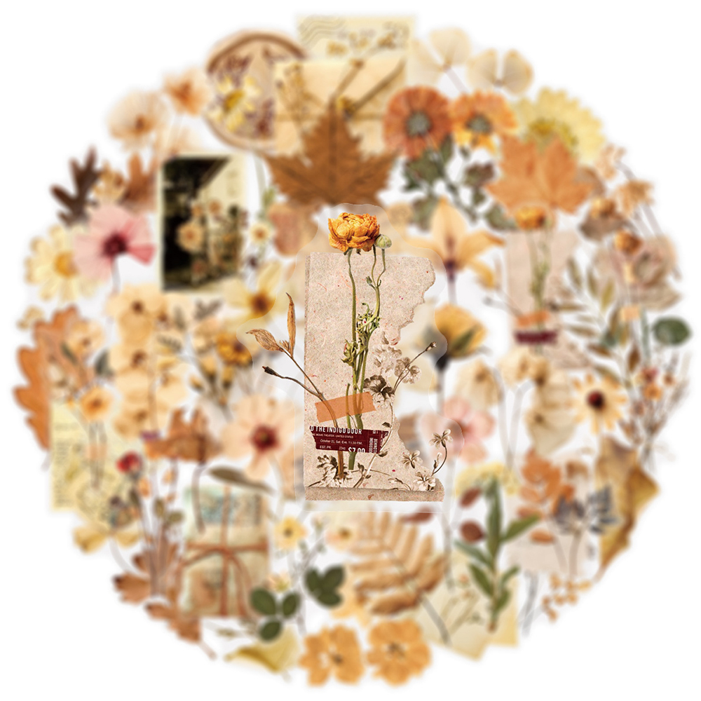 10/30/50pcs Transparent Dried  - Dried Flower Bulk reseña y precio