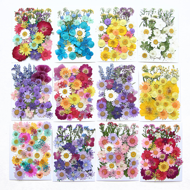 6pcsDried Flowers Real Natural - Flower Preservation Resin reseña y precio