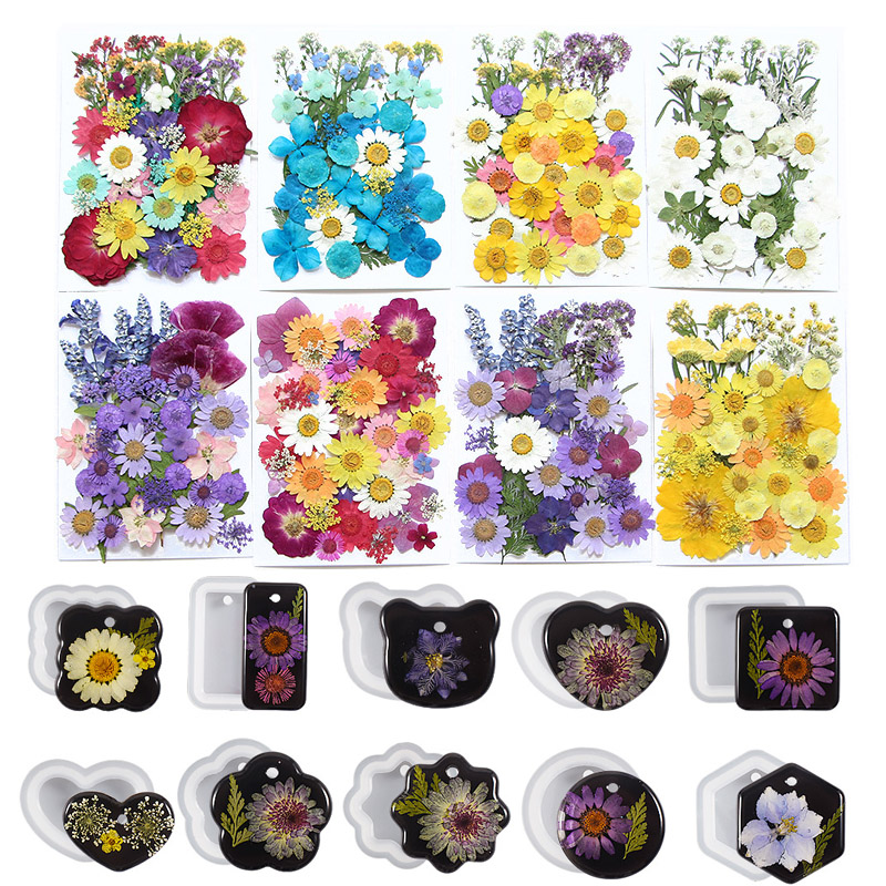 6pcsDried Flowers Real Natural - Flower Preservation Resin reseña y precio