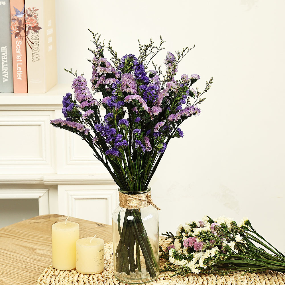 100g Natural Real Forget-me-no - Dried Flower Bulk reseña y precio