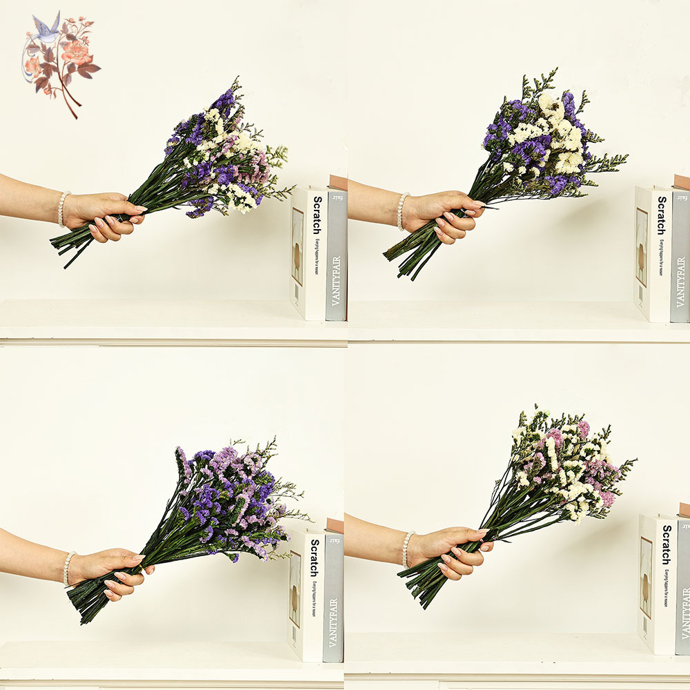 100g Natural Real Forget-me-no - Dried Flower Bulk reseña y precio